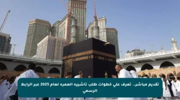 تقديم مباشر.. تعرف على خطوات طلب تأشيرة العمرة لعام 2025 عبر الرابط الرسمي